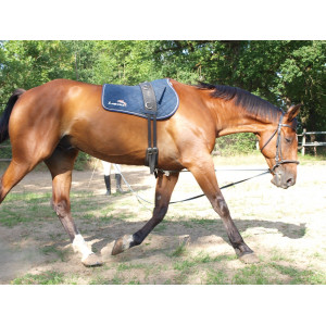 Tapis lamicell bleu foncé