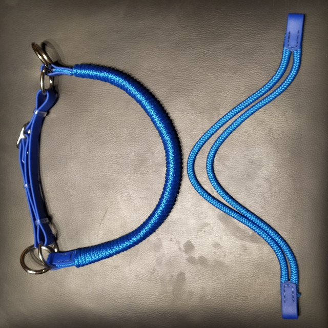 Ensemble muserolle de sidepull & frontal corde et biothane