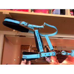 Licol bleu ciel + longe