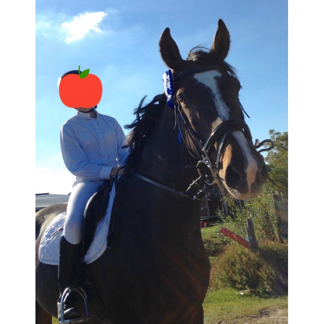 Chemise de concours Herve godignon