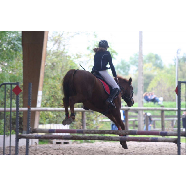 Guette Félix bühler