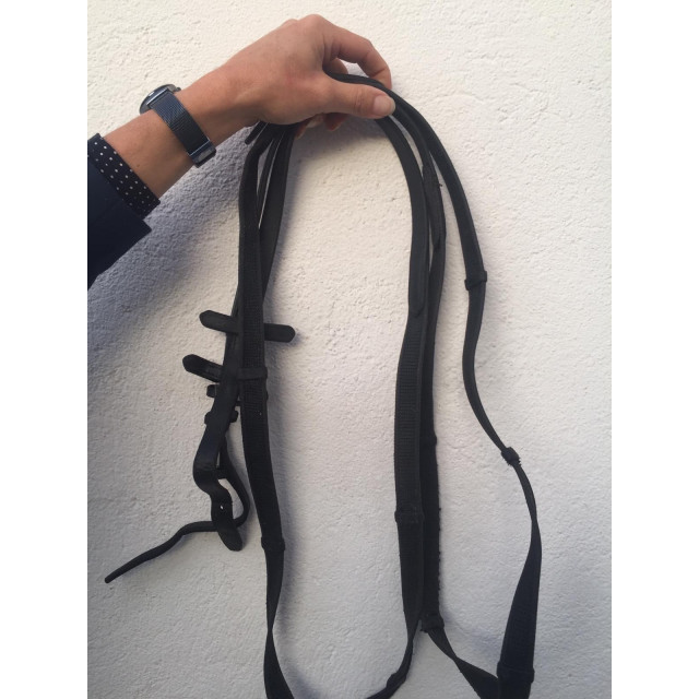 Renes noires agrippantes