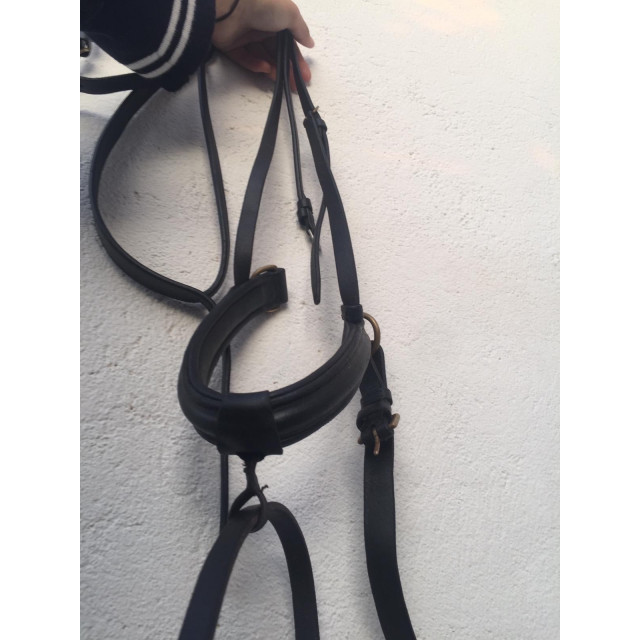 Bridon chetak noir muserolle combinée