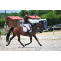 Veste GPA