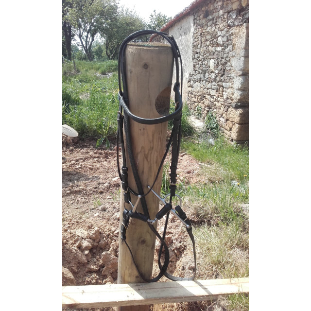 Filet avec mors aiguille