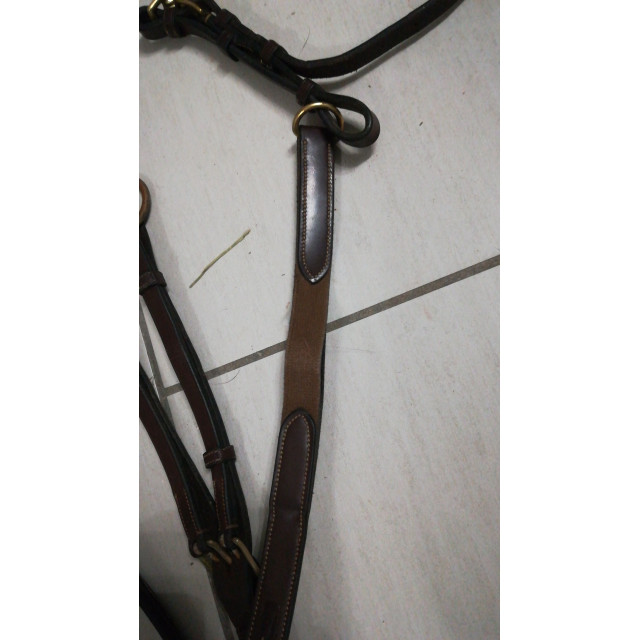 Collier de chasse et martingale Dyon