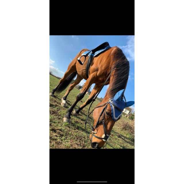 Ensemble tapis + bonnet Horze