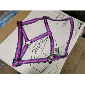 Licol simple violet/lilas