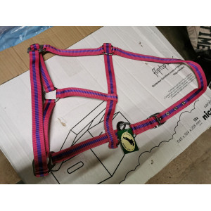 Licol simple rose/violet