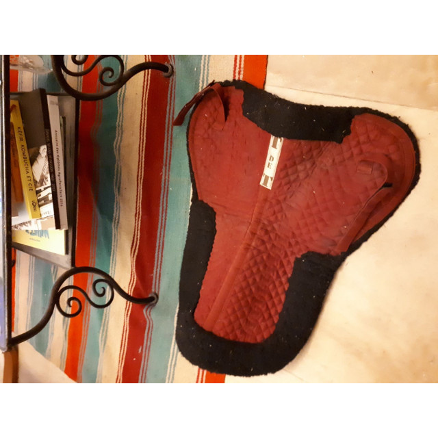 Amortisseur Double poney Tde T