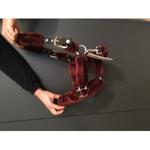 LICOL MOUMOUTE  FLAGS&CUP NEUF