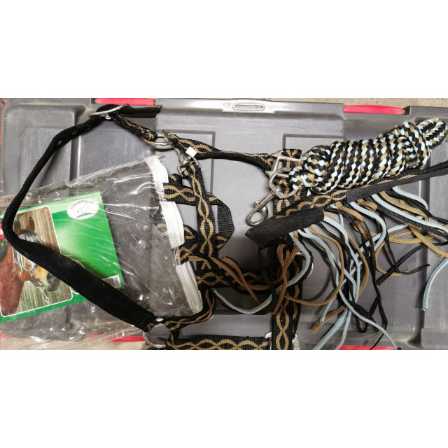 Kit licol+ longe et frontal anti mouches