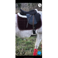 Tapis de dressage .