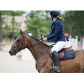 Selle Terry's 17" cuir