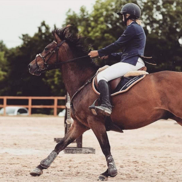 Filet poney C ou D clincher dorés