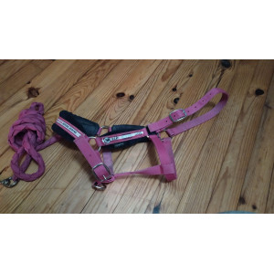 Licol + longe rose