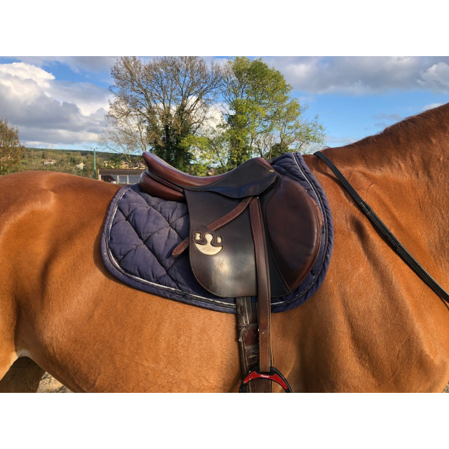 Selle Bruno delgrange