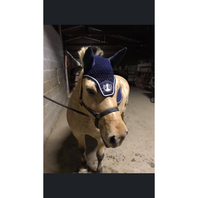 Selle Bruno delgrange