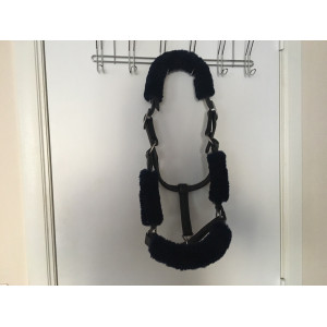 Licol en cuir + fourreaux CSO