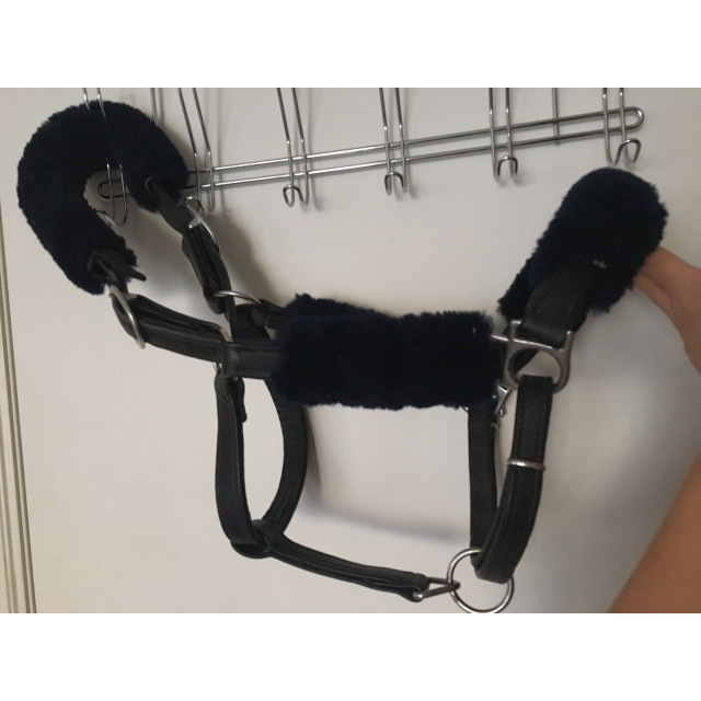 Licol en cuir + fourreaux CSO