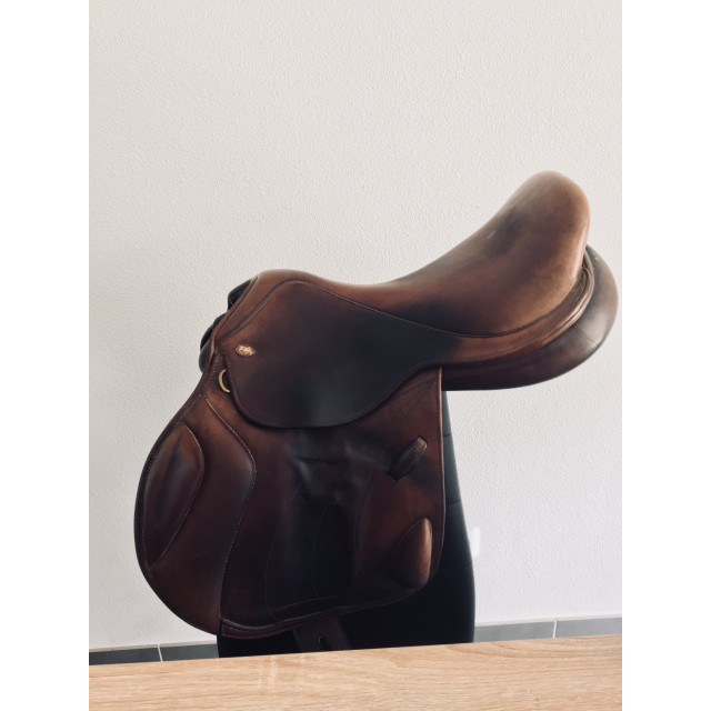 Selle cross lion