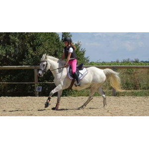 Tapis blanc paddock sport