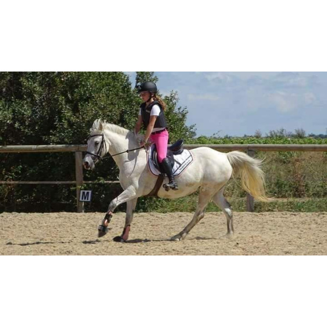 Tapis blanc paddock sport