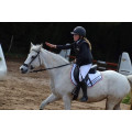 Tapis blanc paddock sport