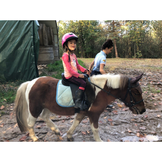 Guêtres cross cuir cwd