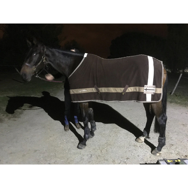 Chemise polaire CSI 145cm