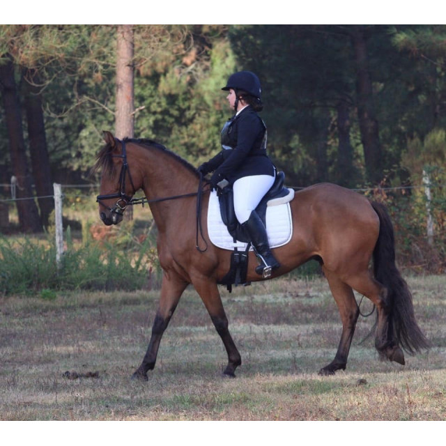 Selle ANTARES 18´