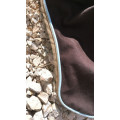 Bonnet