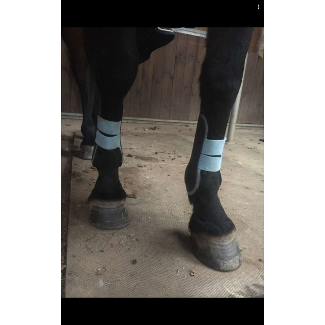 Guètres poney très bon état !
