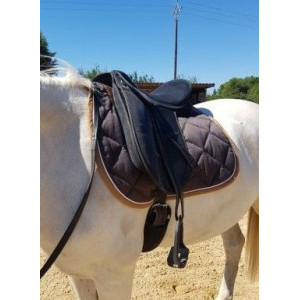 selle dressage tattini daslo
