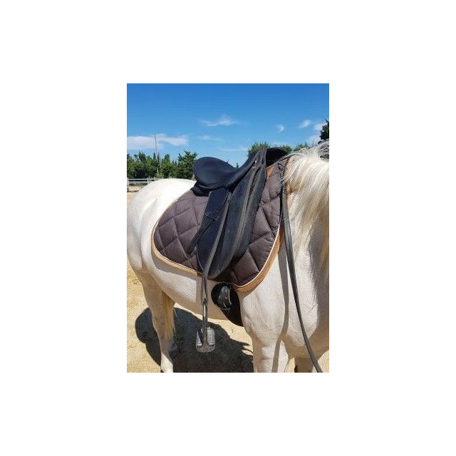 selle dressage tattini daslo