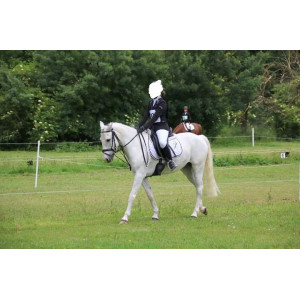 Selle de dressage WINTEC