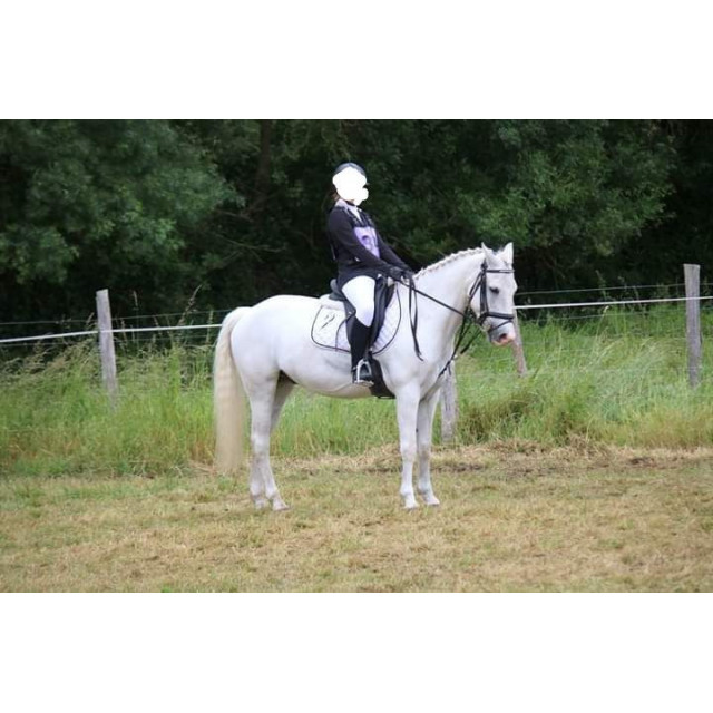 Selle de dressage WINTEC