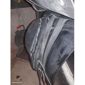 Selle dressage barnsby