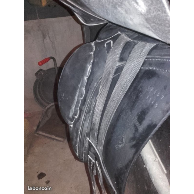 Selle dressage barnsby