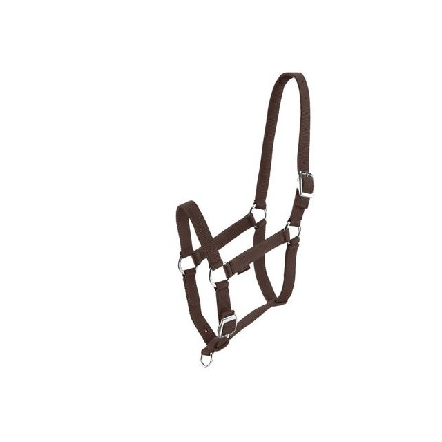 Licol synthétique schooling marron + longe marron