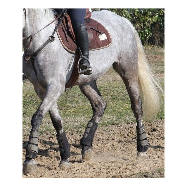 Tapis cheval