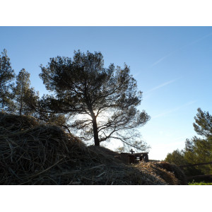 Bandes de travail