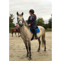 Ensemble equitheme bleu roi