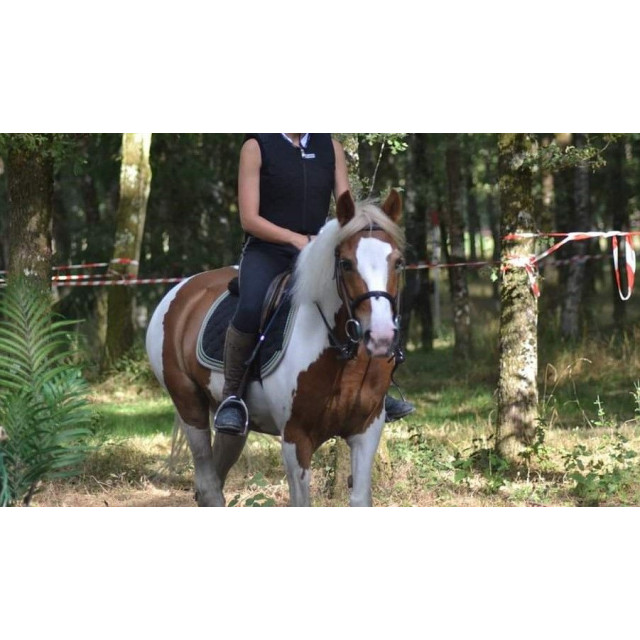 Tapis noir liseré vert