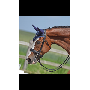 Bridon de dressage devoucoux