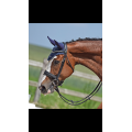 Bridon de dressage devoucoux