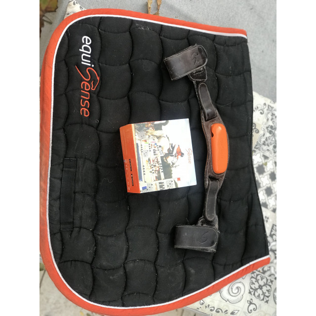 Capteur Equisense + Tapis