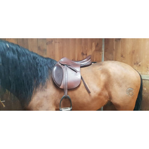 Selle prestige versaille