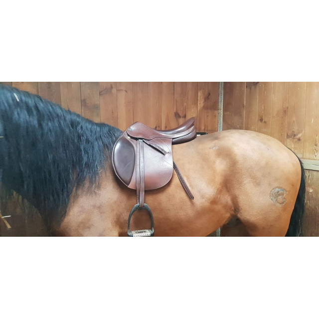 Selle prestige versaille
