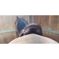 Selle prestige versaille